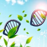 El ADN del Éxito Financiero: Patrones de Crecimiento Sostenible