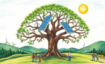 La Sostenibilidad Financiera a Largo Plazo